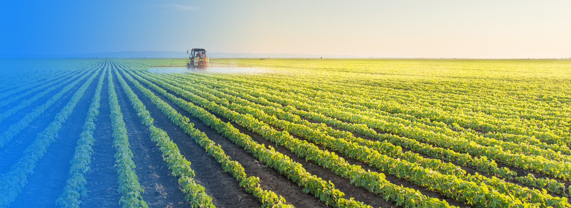 新葡的京集团35222vip农业公司