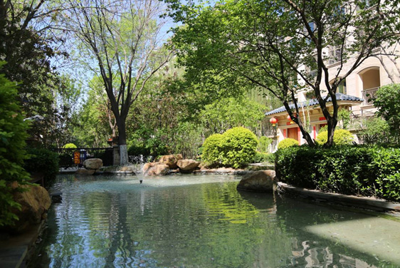 新葡的京集团35222vip集团