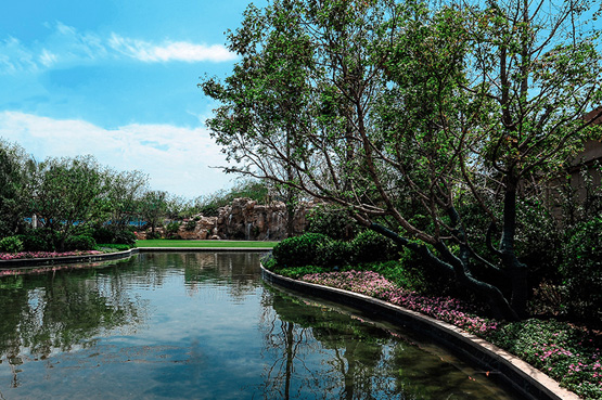 新葡的京集团35222vip集团