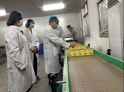 同心抗疫，确保质量！918博天堂官网公司振隆厂外车间接受广药集团生产监视包管小组事情督导